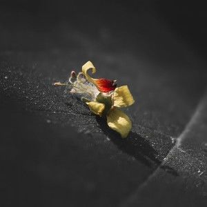 Meet your Posher, Wynnona